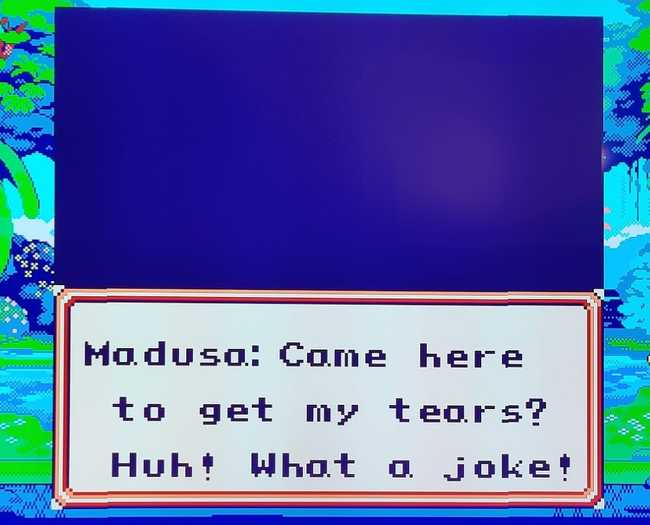 The translation is about what you'd expect from an RPG from the early 90s - Medusa became Madusa here